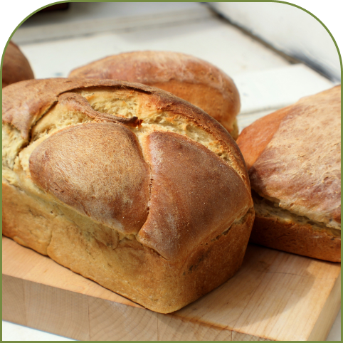 pan de monggo rolls