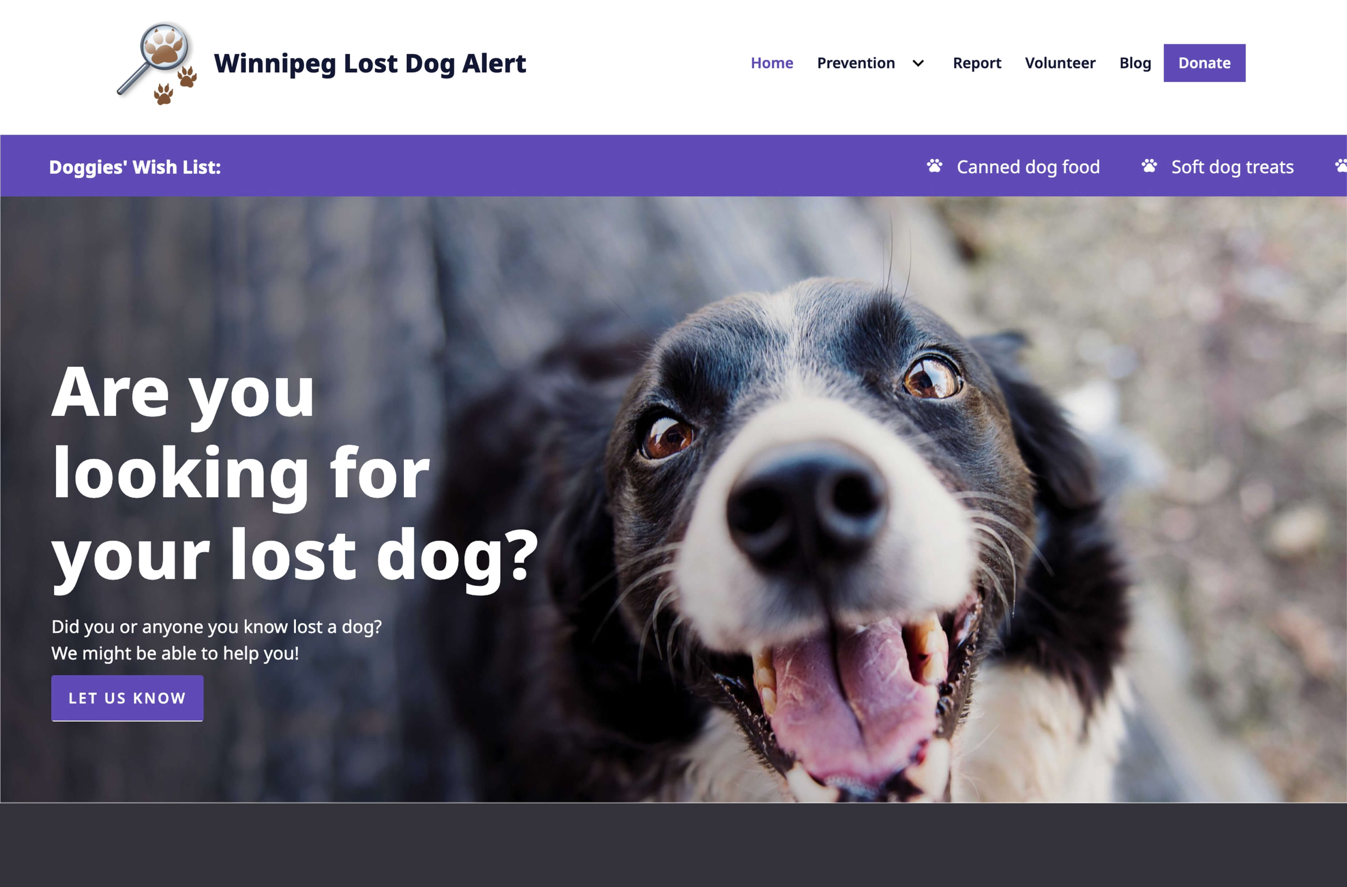 Winnipeg Lost Dog Alert Non Profit organization website