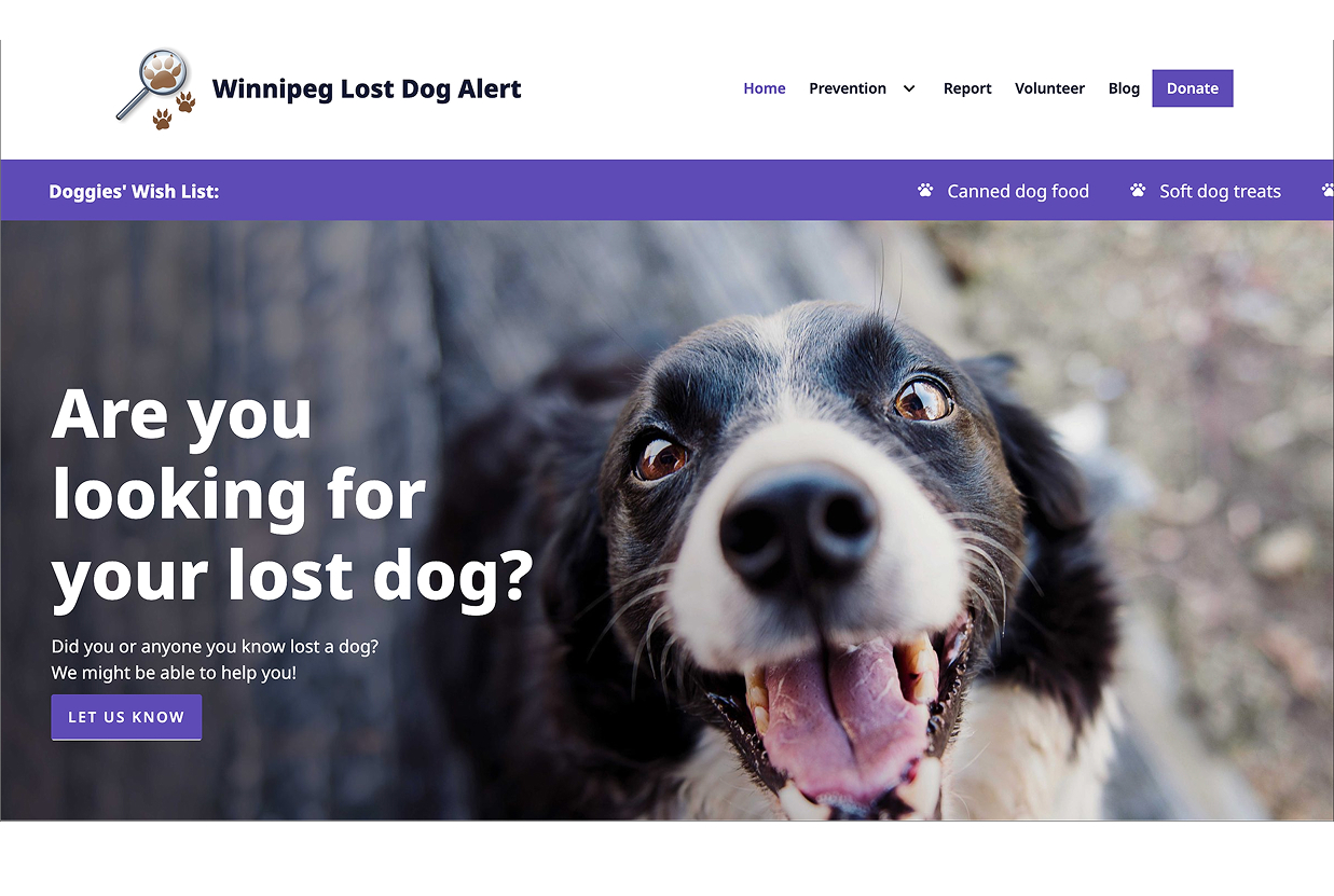 website preview